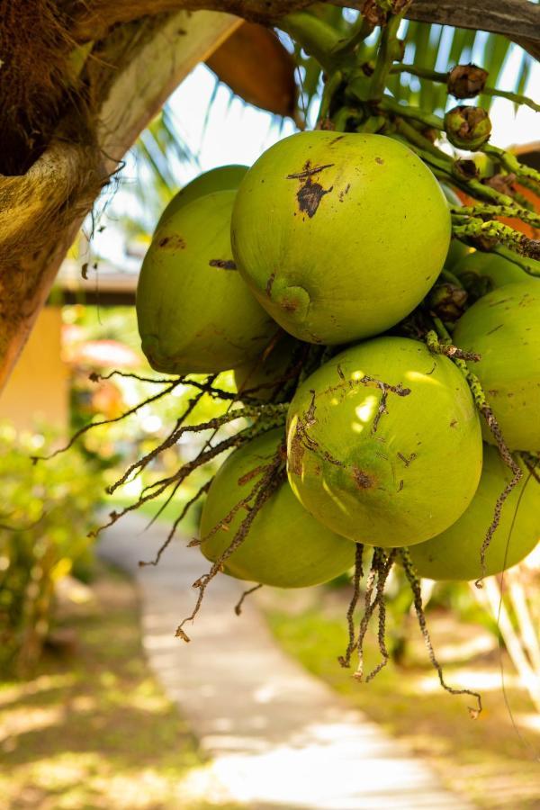 Raiatea Sur Mer Opoa ภายนอก รูปภาพ