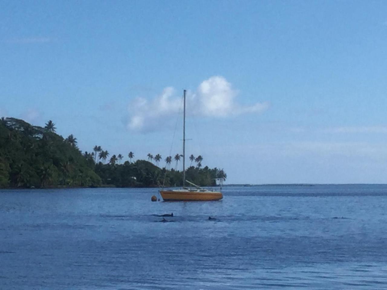 Raiatea Sur Mer Opoa ภายนอก รูปภาพ